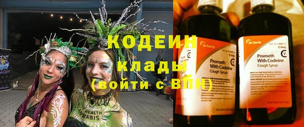 твердый Богданович