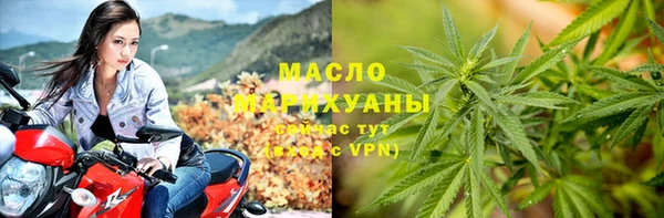 твердый Богданович