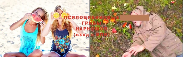 ешки Бронницы