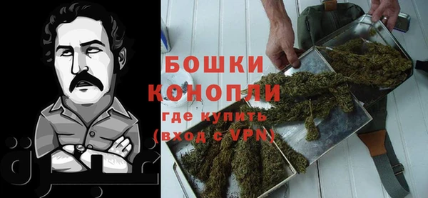 ешки Бронницы