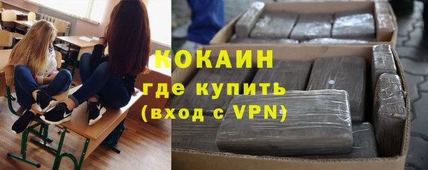 ешки Бронницы